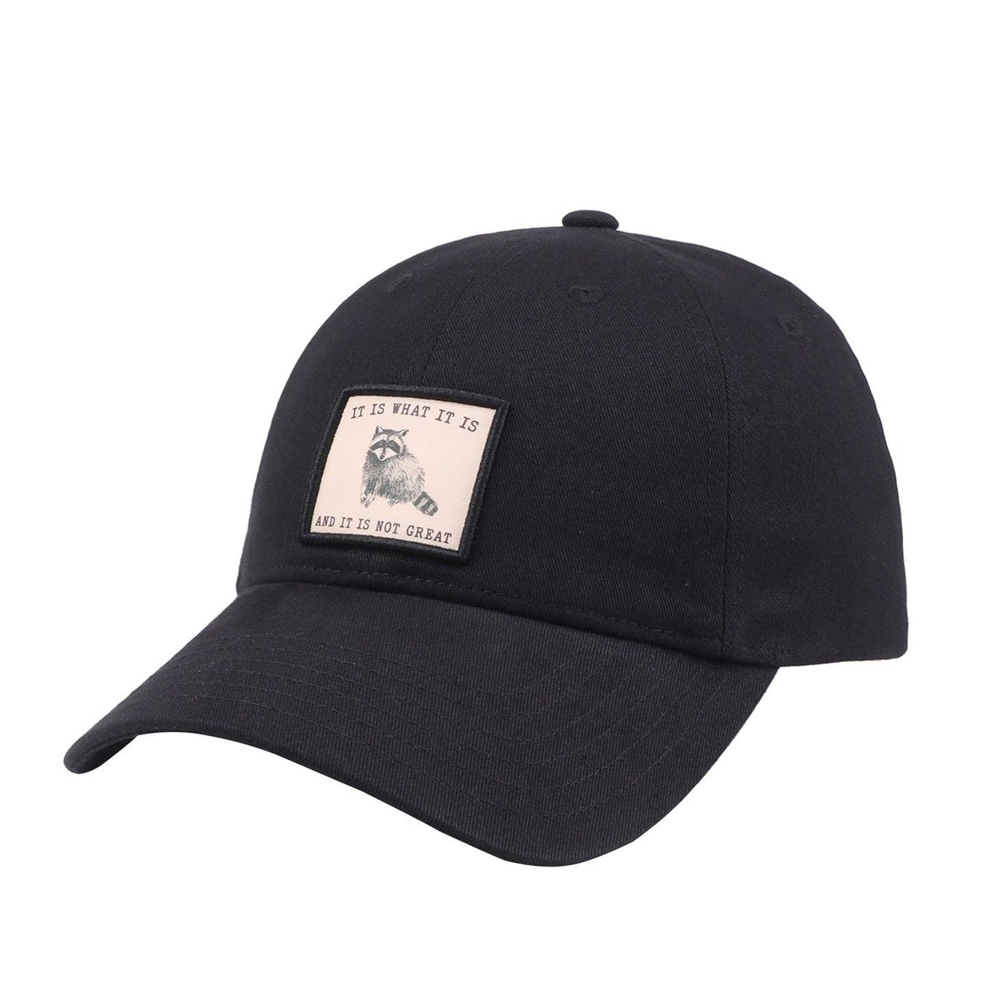 It Is What It Is And It Is Not Great Raccoon Baseball Cap | Funny Meme Hat | HatPhile
