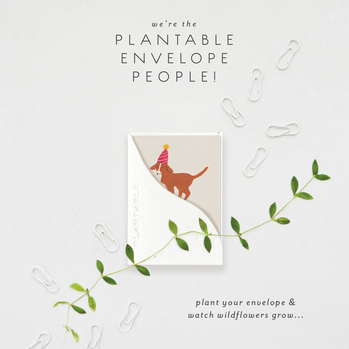 Birthday Dog Sprout - Bday Mini Greeting Card (2.5" x 3.5")