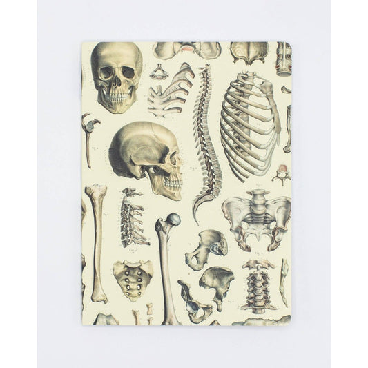 Skeleton Plate 2 Softcover Notebook | Lined