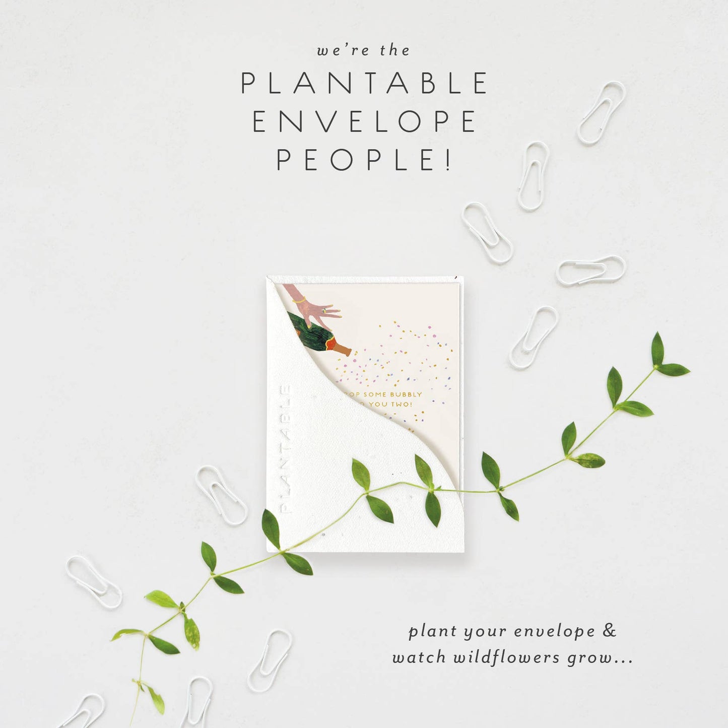 Pop Some Bubbly  Sprout - Wedding Mini Greet Card 2.5"x3.5"