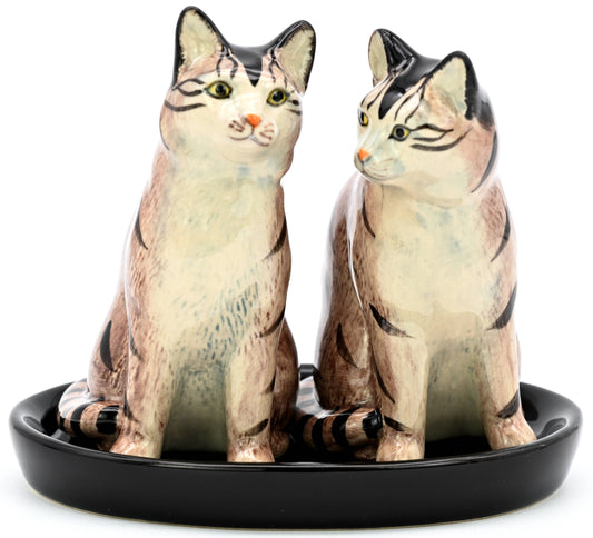 Tabby Cat Salt and pepper Shakers