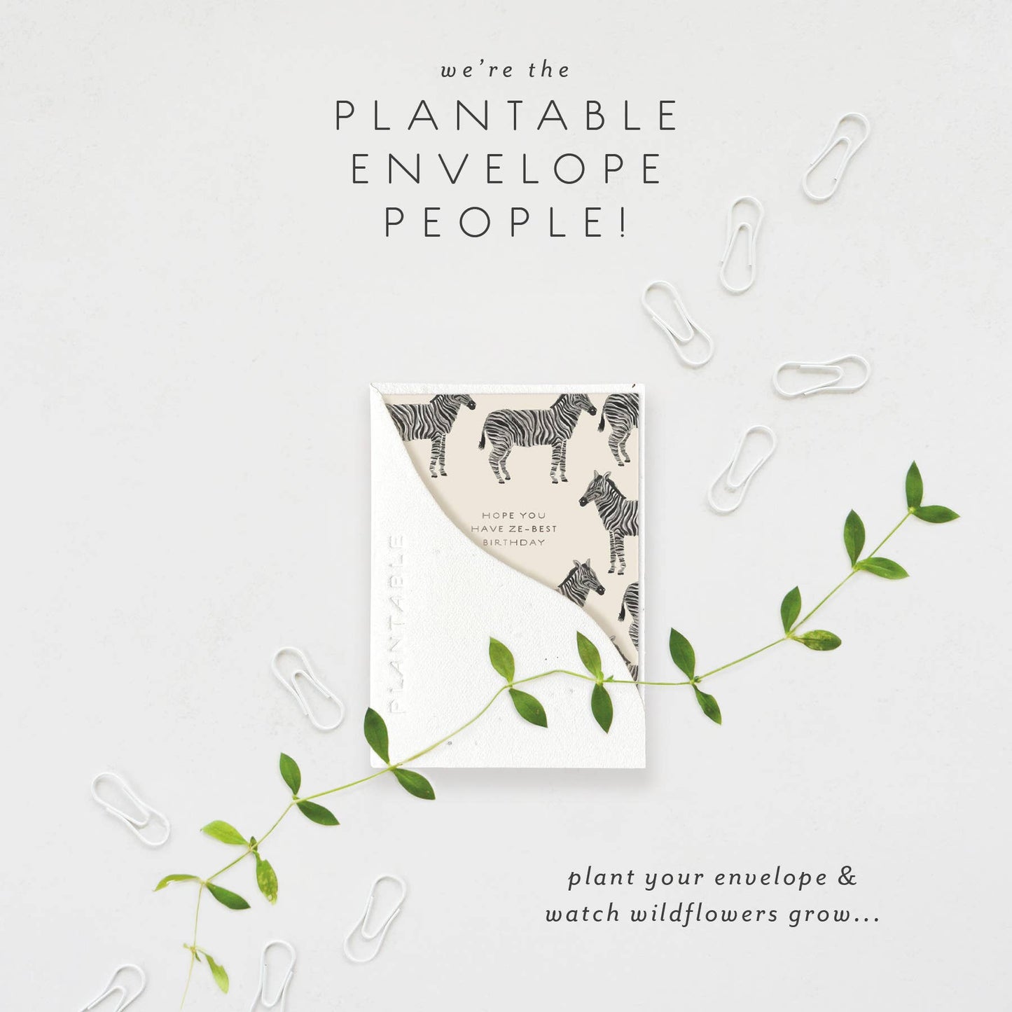 Ze-best Sprout - Birthday Mini Greeting Card (2.5" x 3.5")
