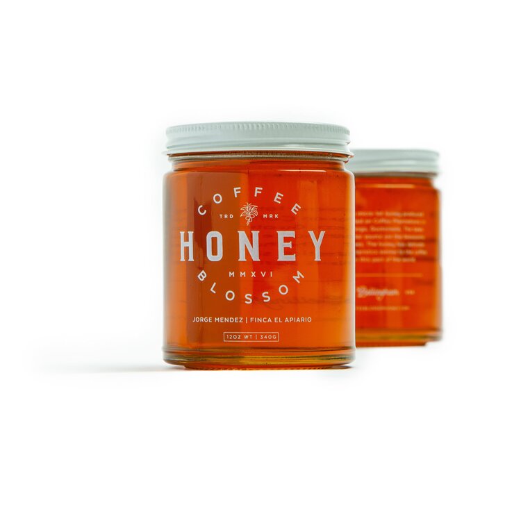 Coffee Blossom Honey - Classic