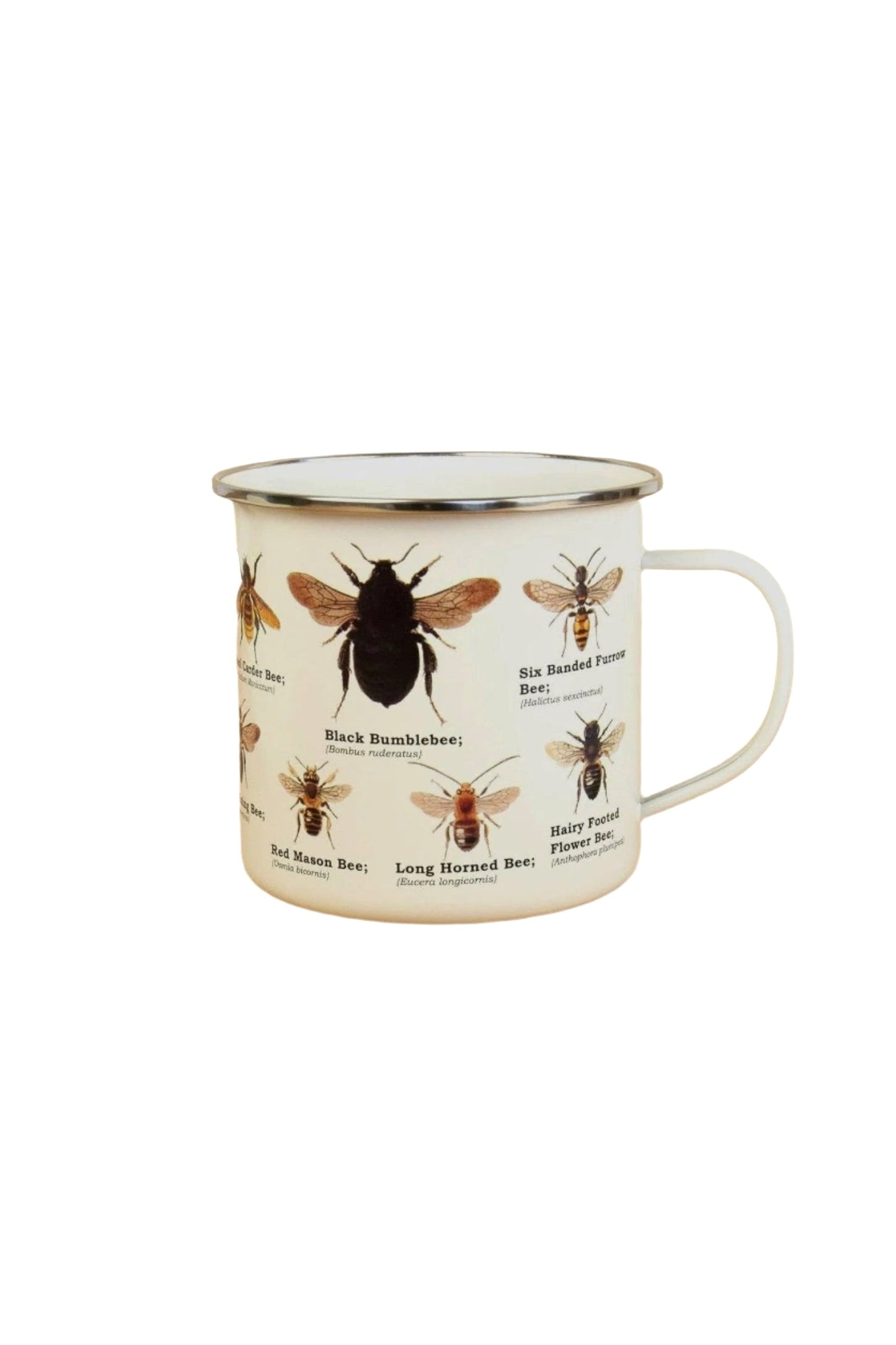 Enamel Mug | Bee