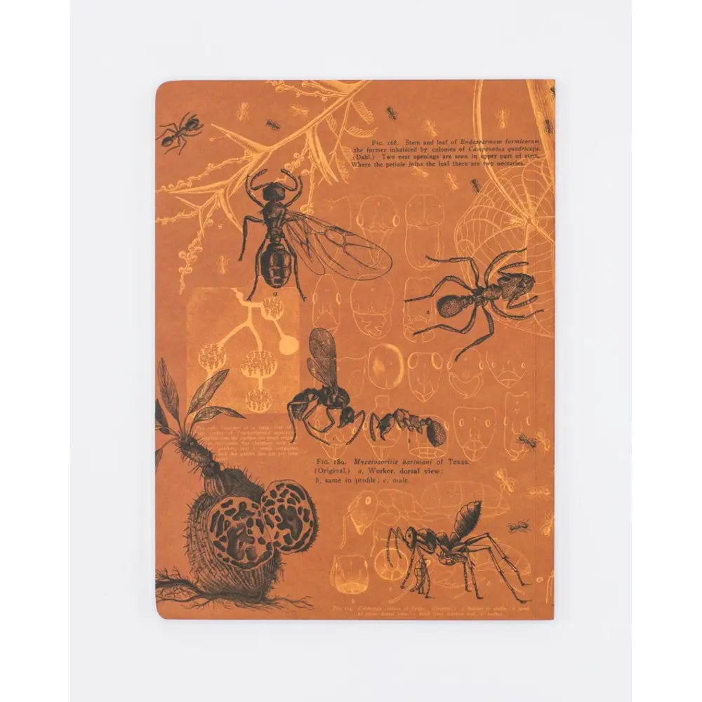Ants Softcover Notebook | Lined