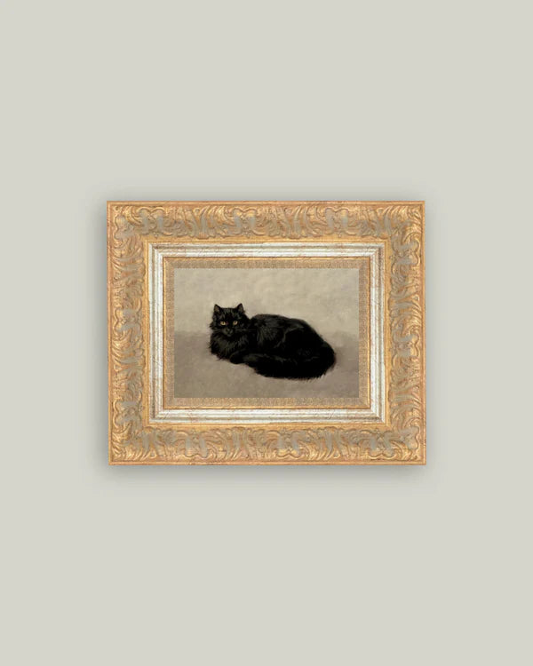 Black Cat