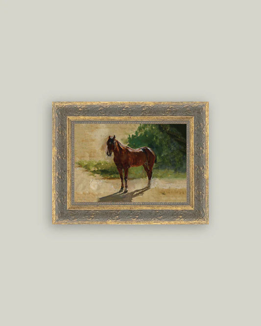 Brown Horse Study | Framed Picture