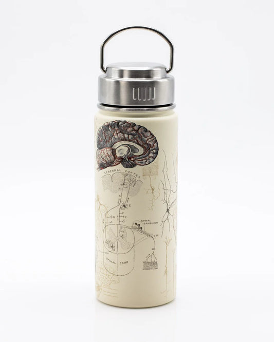 Brain & Neuroscience 18oz Steel Bottle