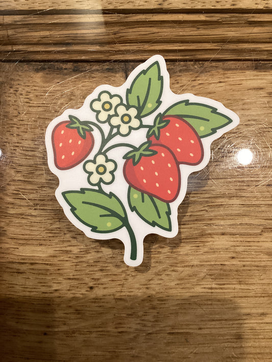 Strawberry blossom