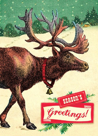 Season's Greetings! | Holiday Card