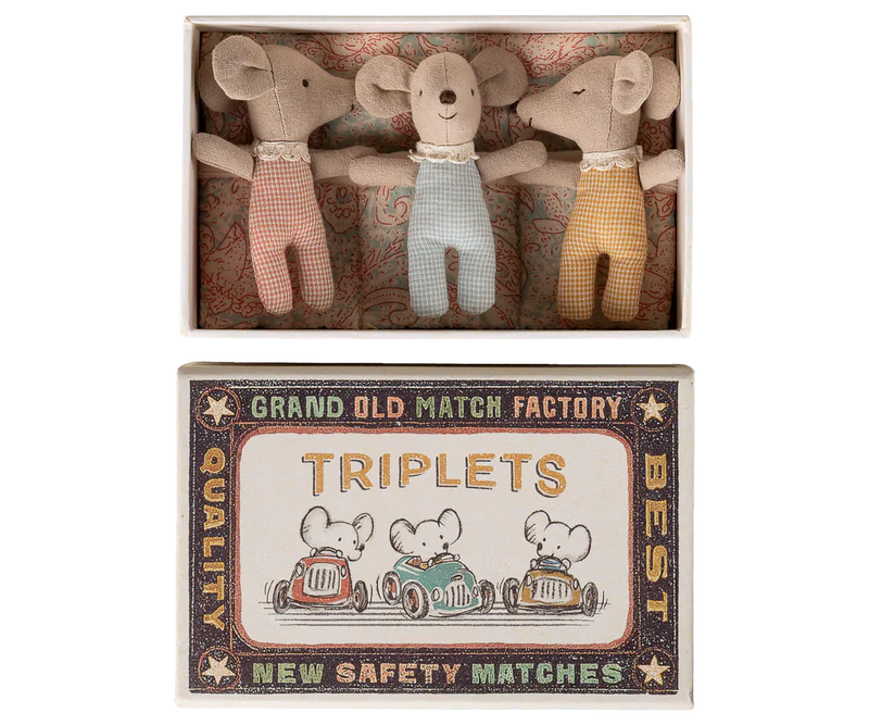 Triplets - Baby mice in matchbox