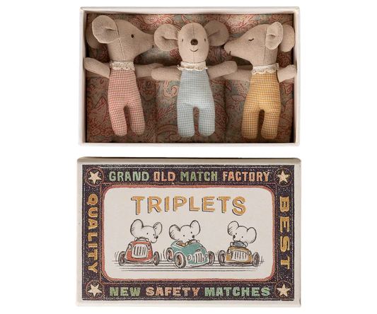 Triplets - Baby mice in matchbox