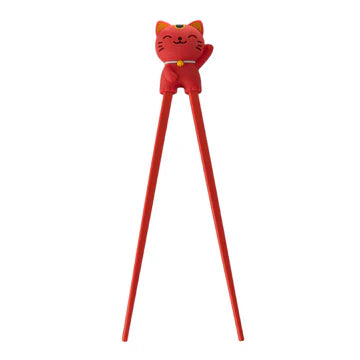 Training Chopsticks