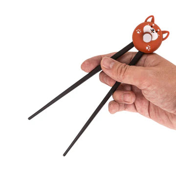 Training Chopsticks