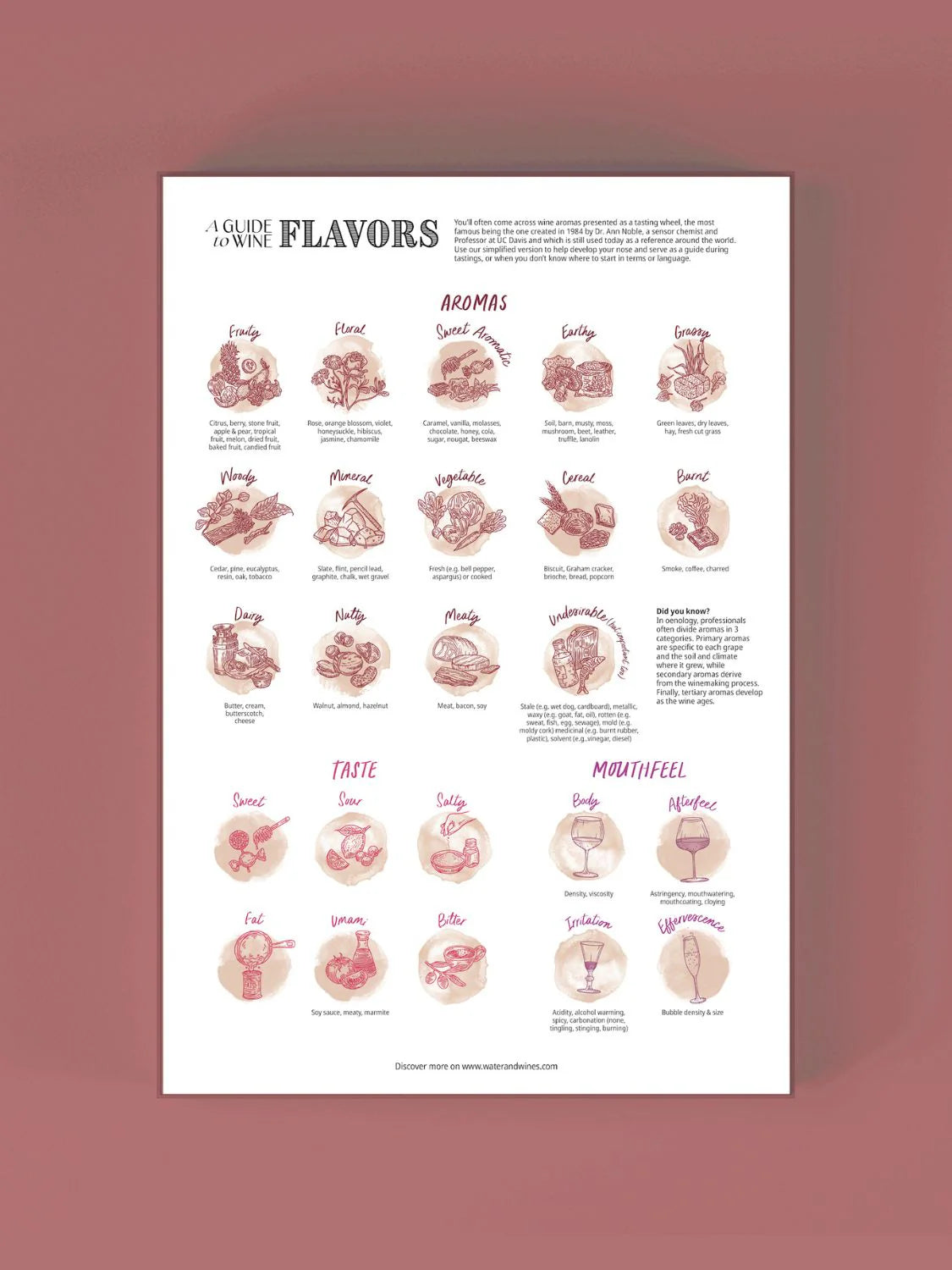 Wine Puzzle | Periodic Table of Wine