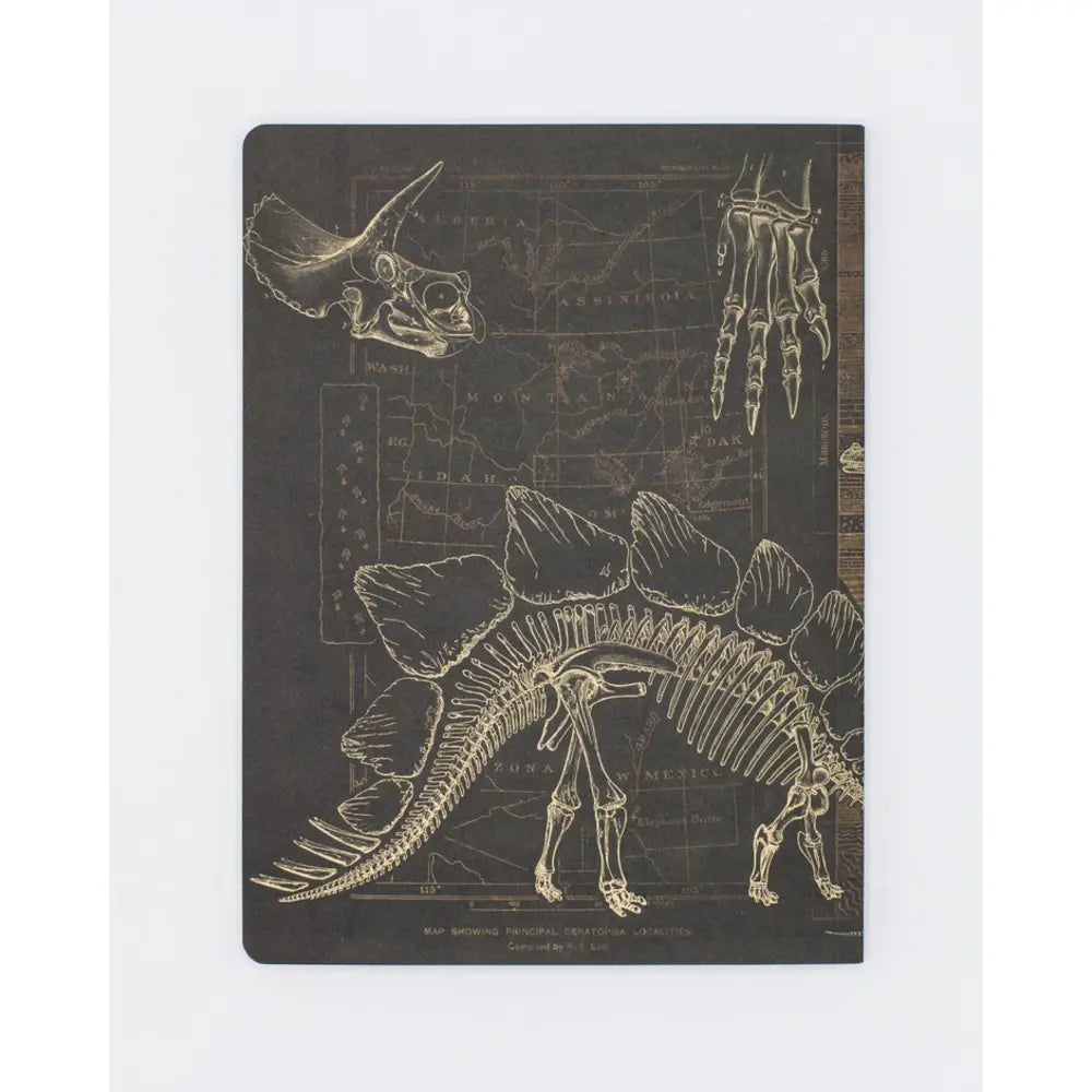 Dinosaur Soft Cover Notebook | Dot Grid