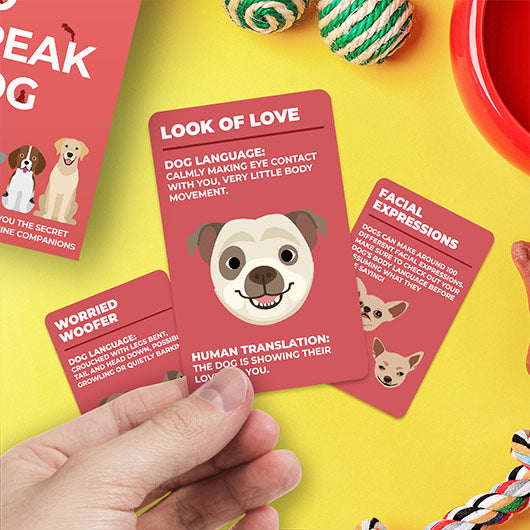 Trivia - How to Speak Dog Cards