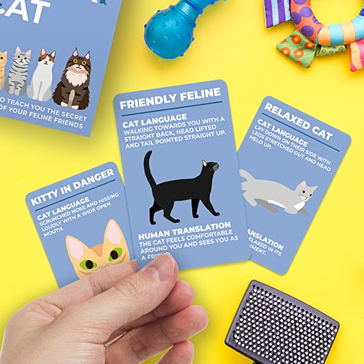 Trivia - How to Speak Cat Cards
