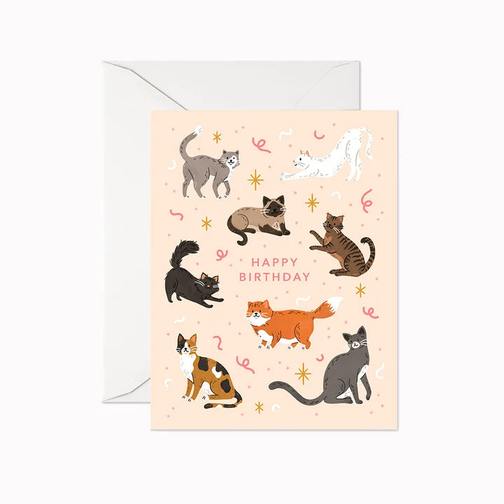 Cat Birthday