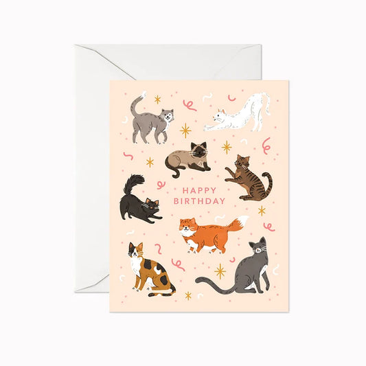 Cat Birthday