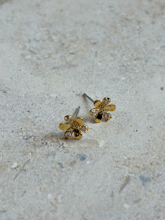 Cote Stud Earrings