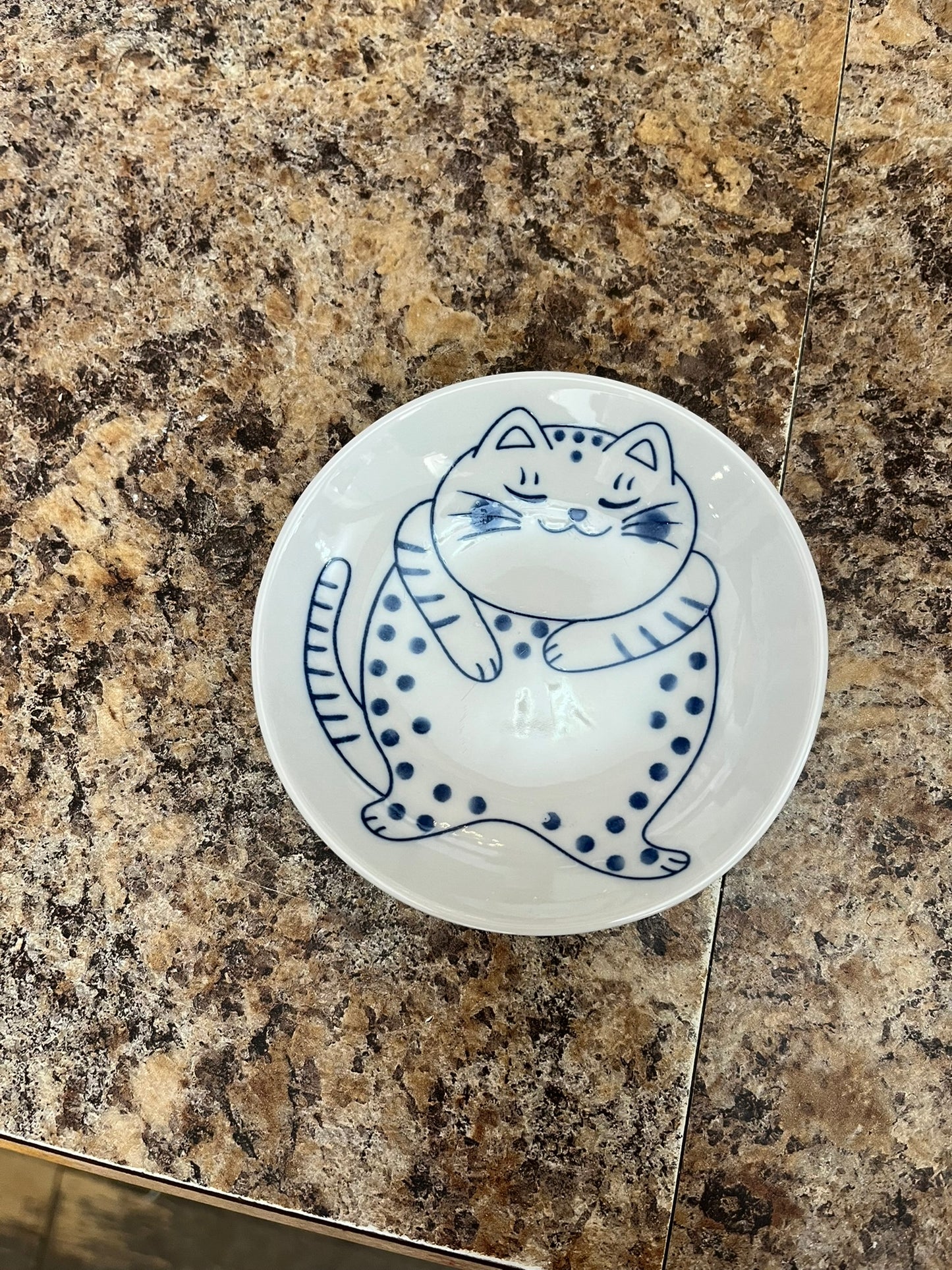 Fat Blue Cat