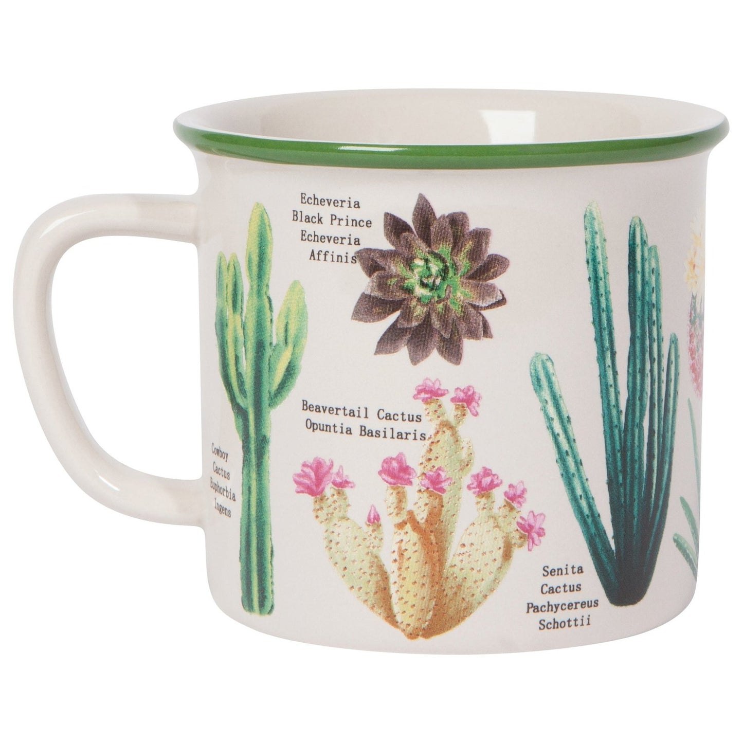 Botanical Cacti Heritage Mug