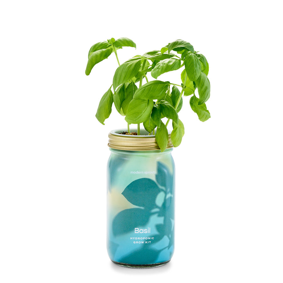 Garden Jars | Organic Basil