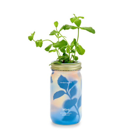 Garden Jars | Organic Mint