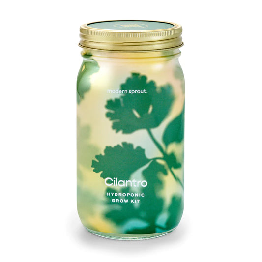 Garden Jars - Organic Cilantro