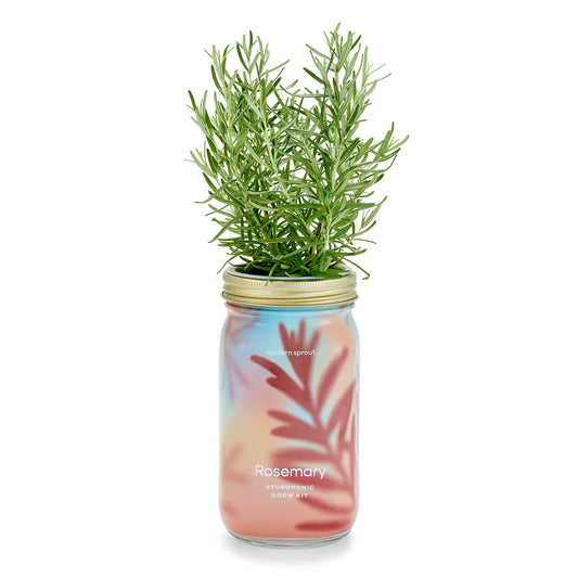 Garden Jars | Organic Rosemary