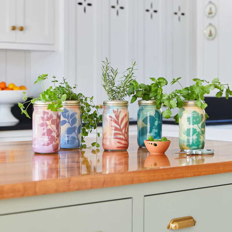 Garden Jars - Organic Roesmary