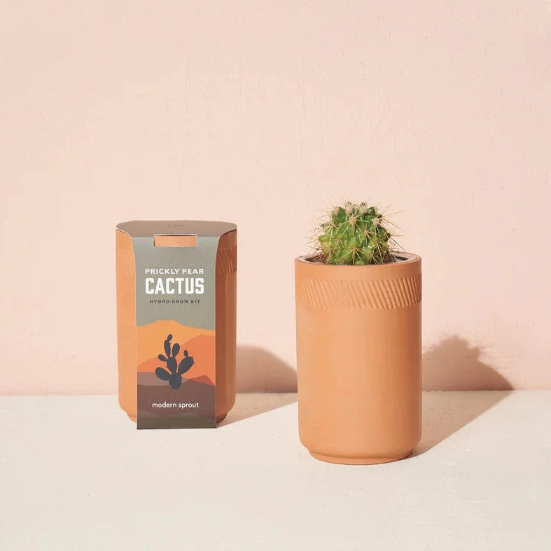 Terracotta Grow Kits | Prickly Pear Cactus