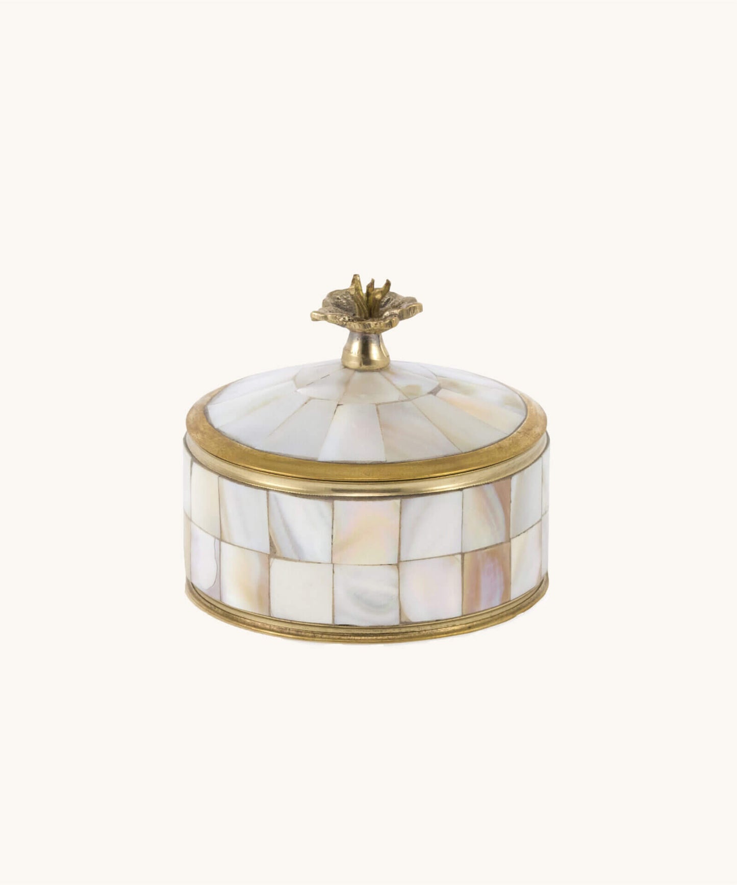 Medium Circus Boxes