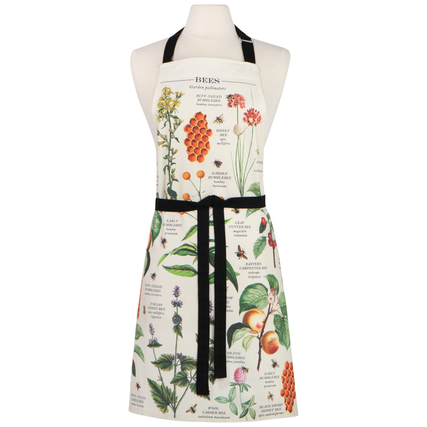Bee Varieties Apron