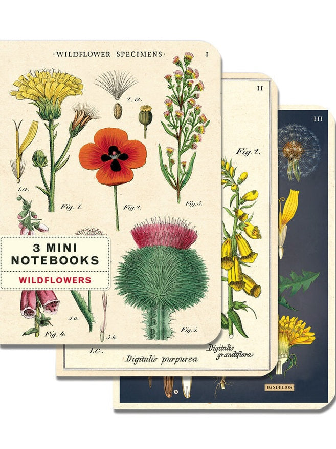 wildflowers | 3 Notebooks
