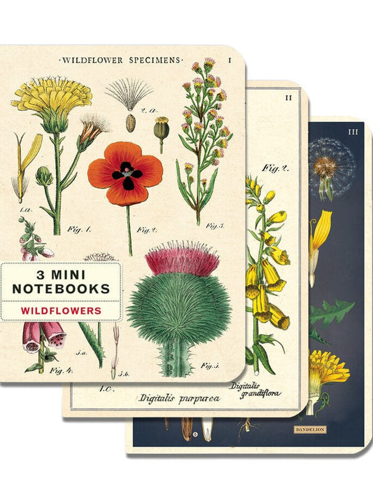 wildflowers | 3 Notebooks
