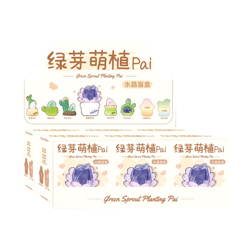 Cactus Crystal Blind Box