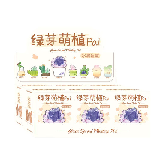 Cactus Crystal Blind Box