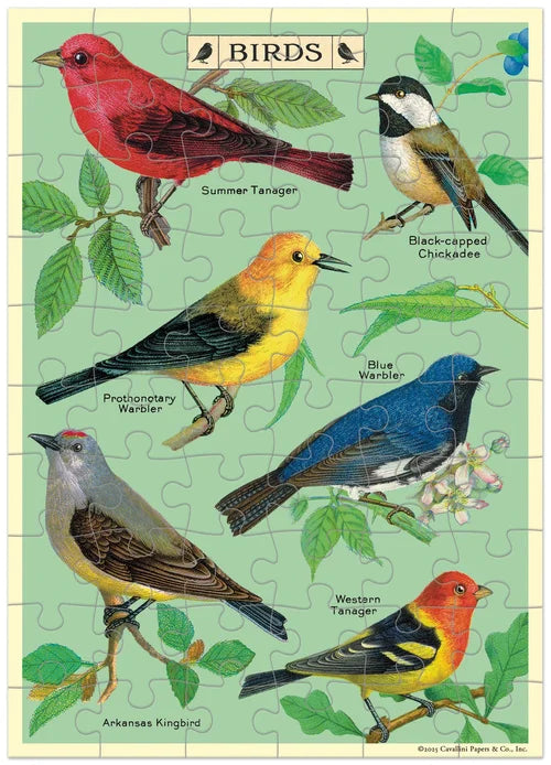 Bird Watching Puzzle Greeting Card