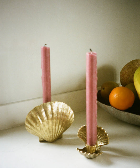 Scarlett Shell Candle Holder