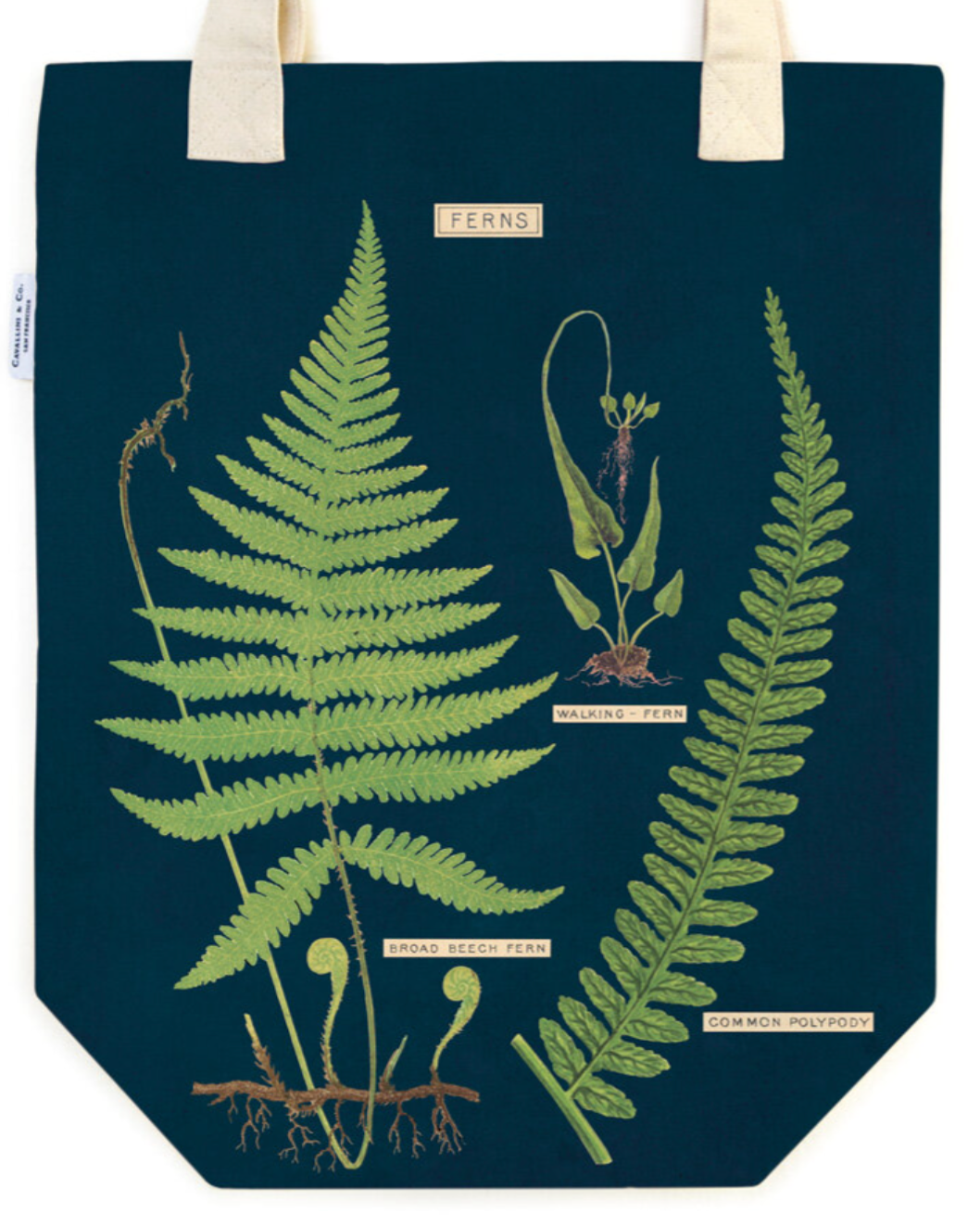 Vintage Tote | Ferns