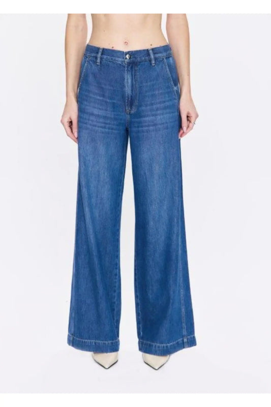 Jadyn Seamed Low Slung Palazzo Pant - Imagine