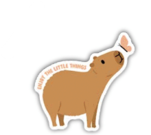 Enjoy the Little Things Sticker