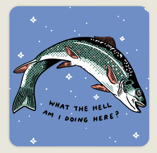What The Hell | Waterproof Vinyl Sticker