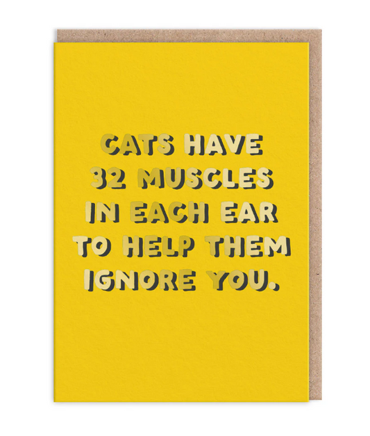 32 Muscles Greeting Card