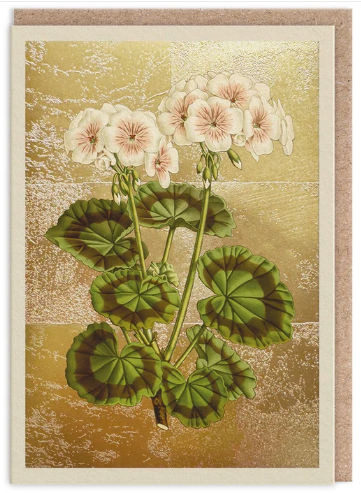 Geranium Greeting Card