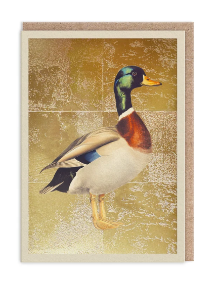 Mallard Greeting Card