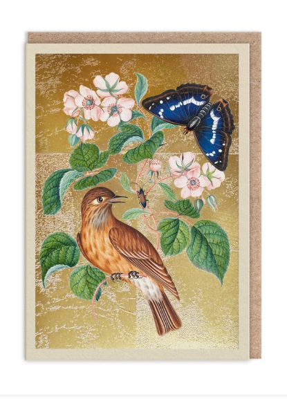 Wren Greeting Card