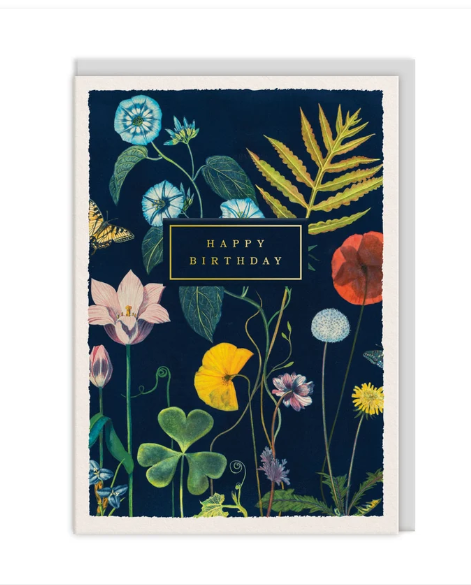 Birthday poppies Greeting Card